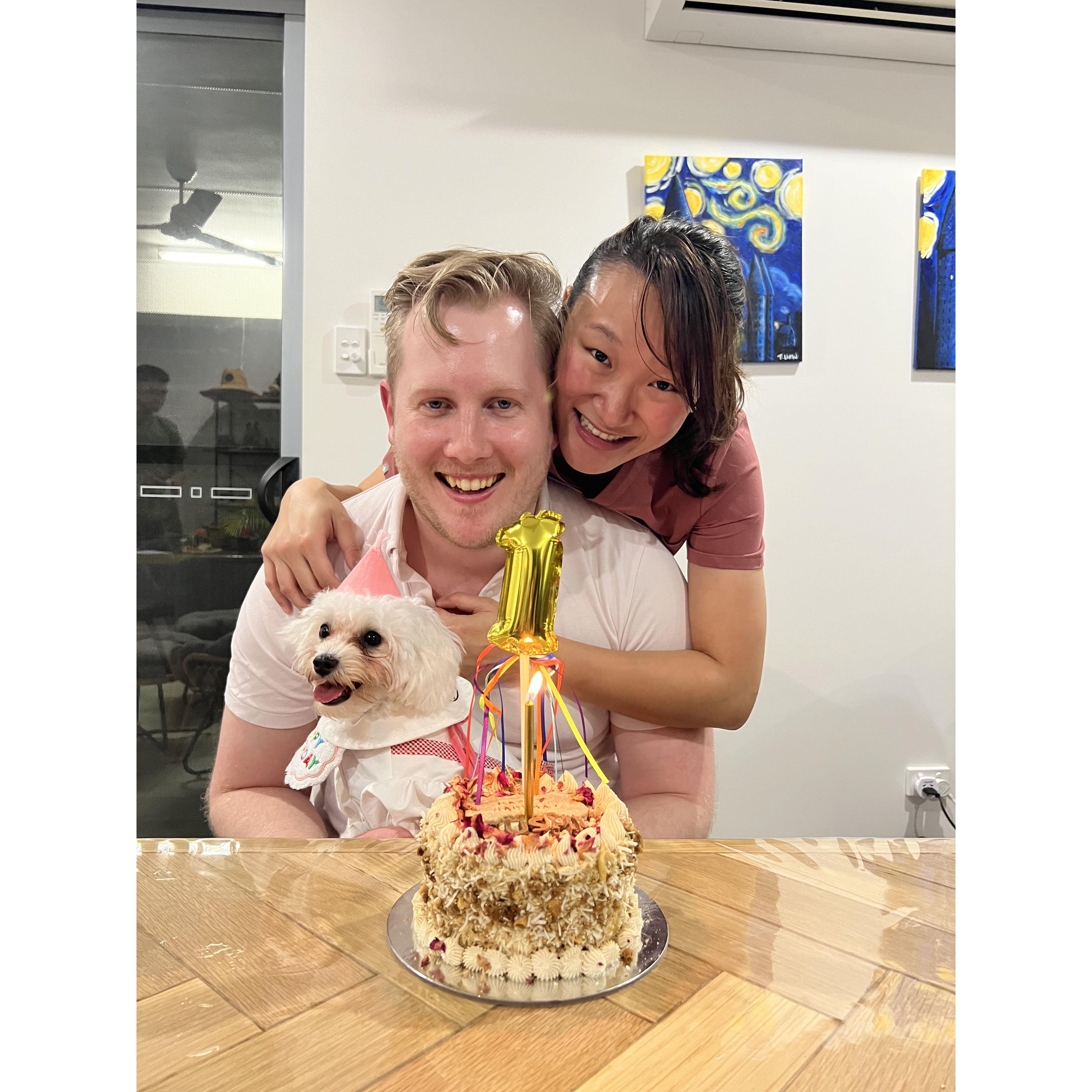 Sushi's First Birthday ♥