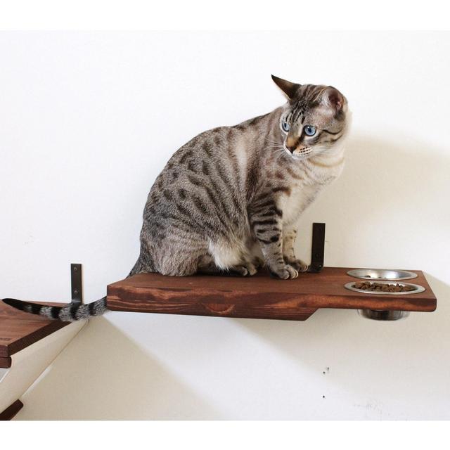 Dining Room Cat Shelf in English Chestnut