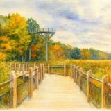 Galien River County Park