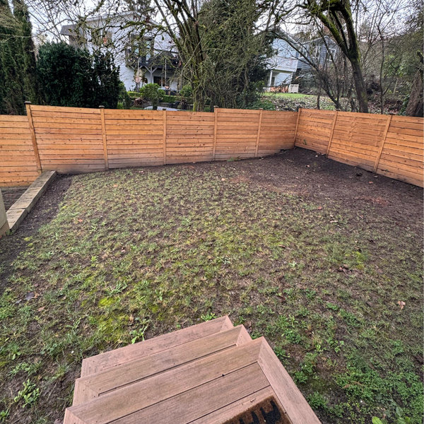 Backyard Garden