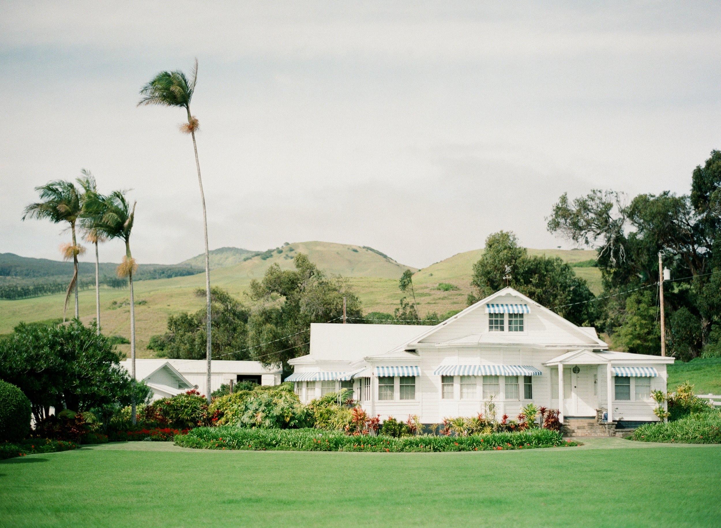 The Wedding Website of Naomi Tuani and Logan Meadows