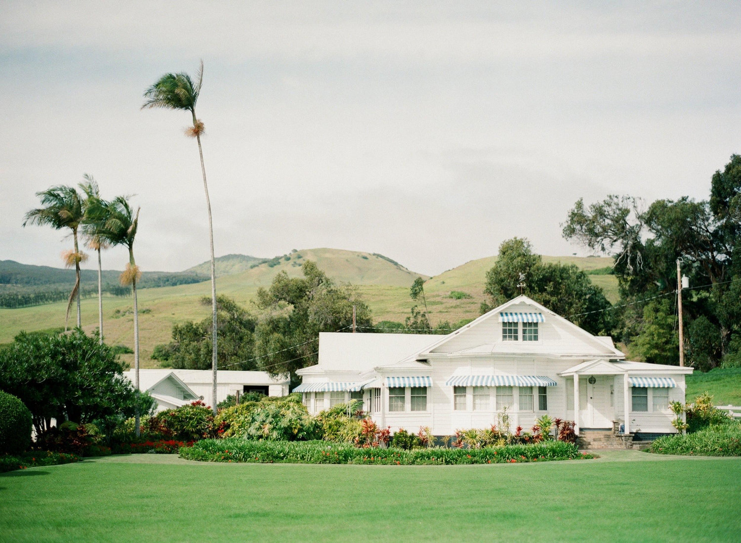 The Wedding Website of Naomi Tuani and Logan Meadows
