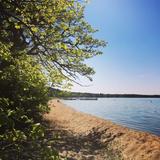 Beach Day