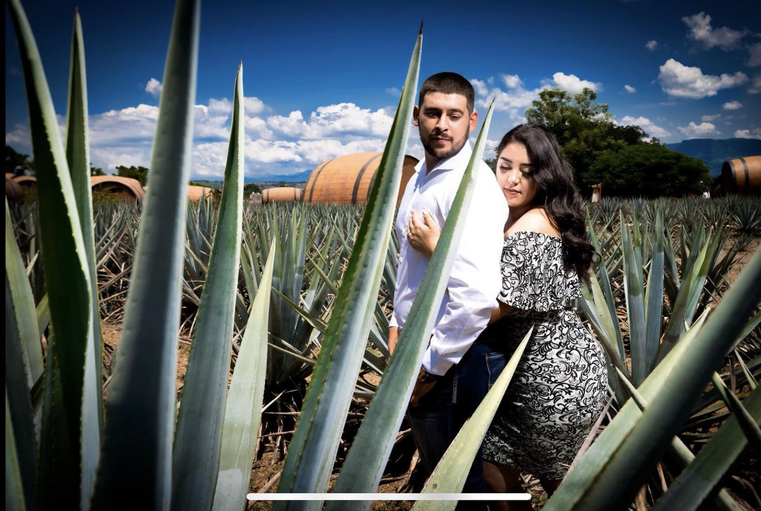 The Wedding Website of Lizeth Herrera Chavez and Sergio Sanchez