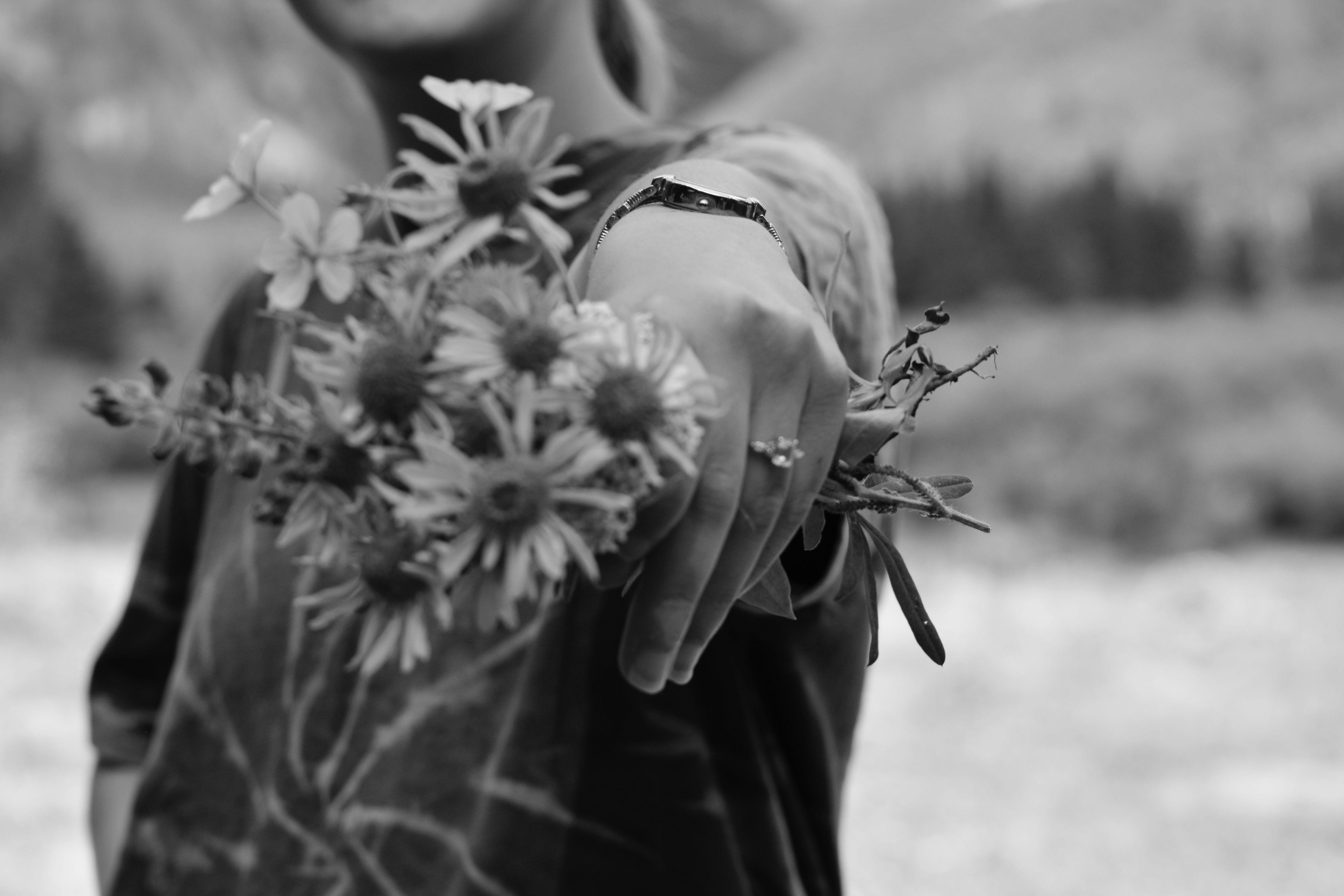 The Wedding Website of Maggie Reid and Caed Mitchell
