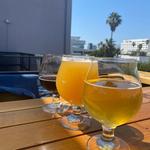 Cervecería Insurgente