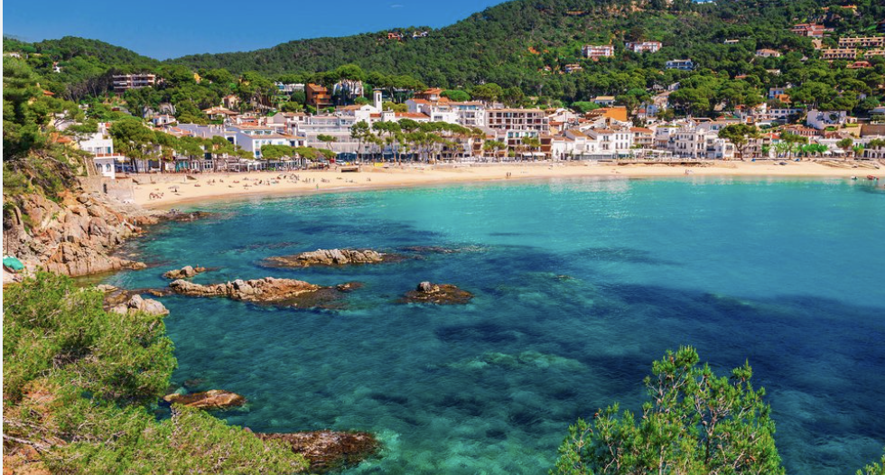 The Wedding Website of Natalie Wynne and Isabela Costa