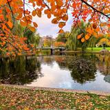Boston Common