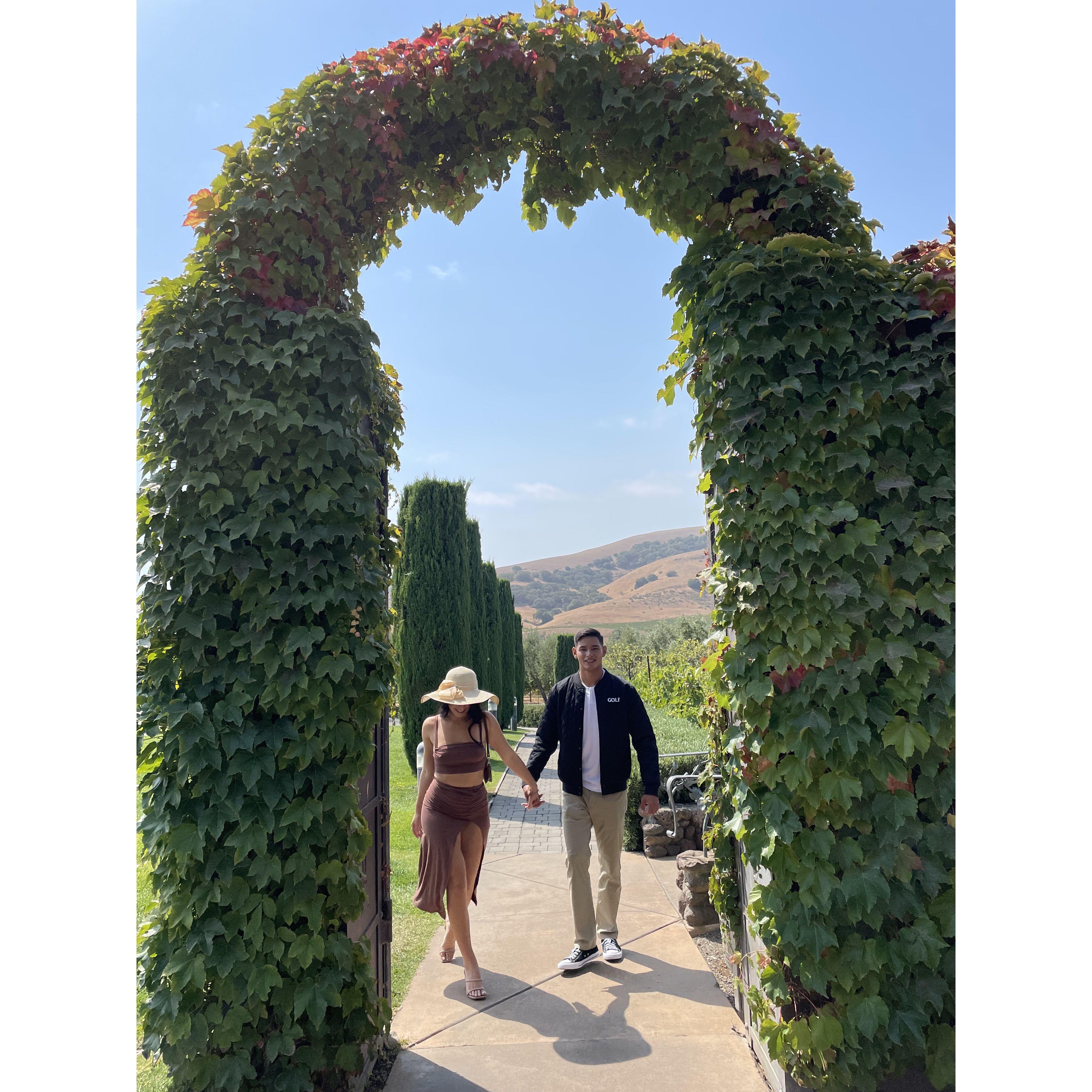 Viansa Winery - Napa, CA