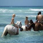 Horseback Riding - On Land & Sea