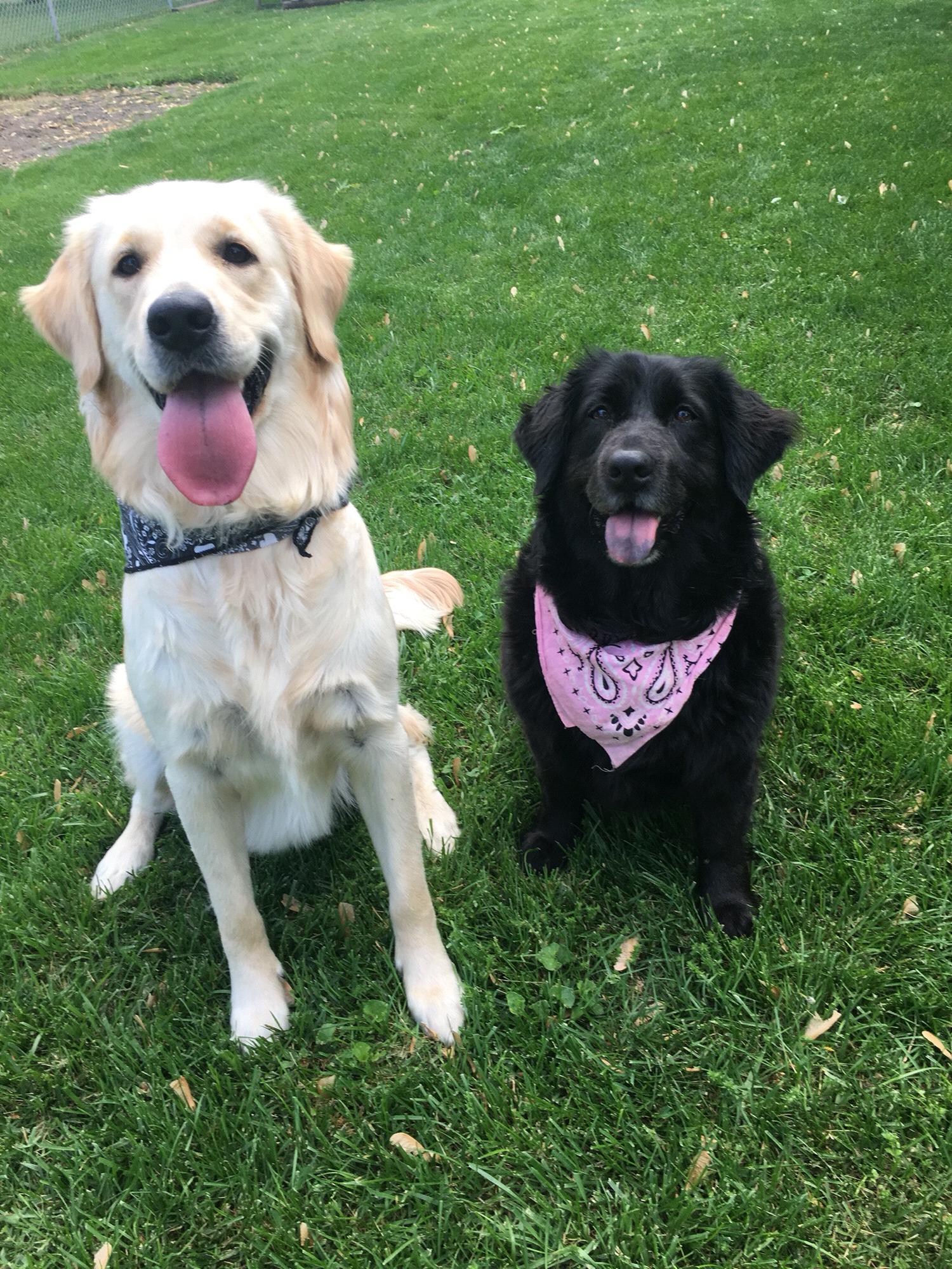 Mia and Bella❣️