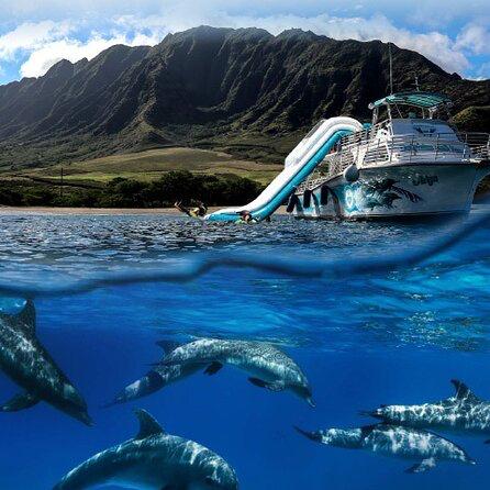 Dolphins & You Lunch