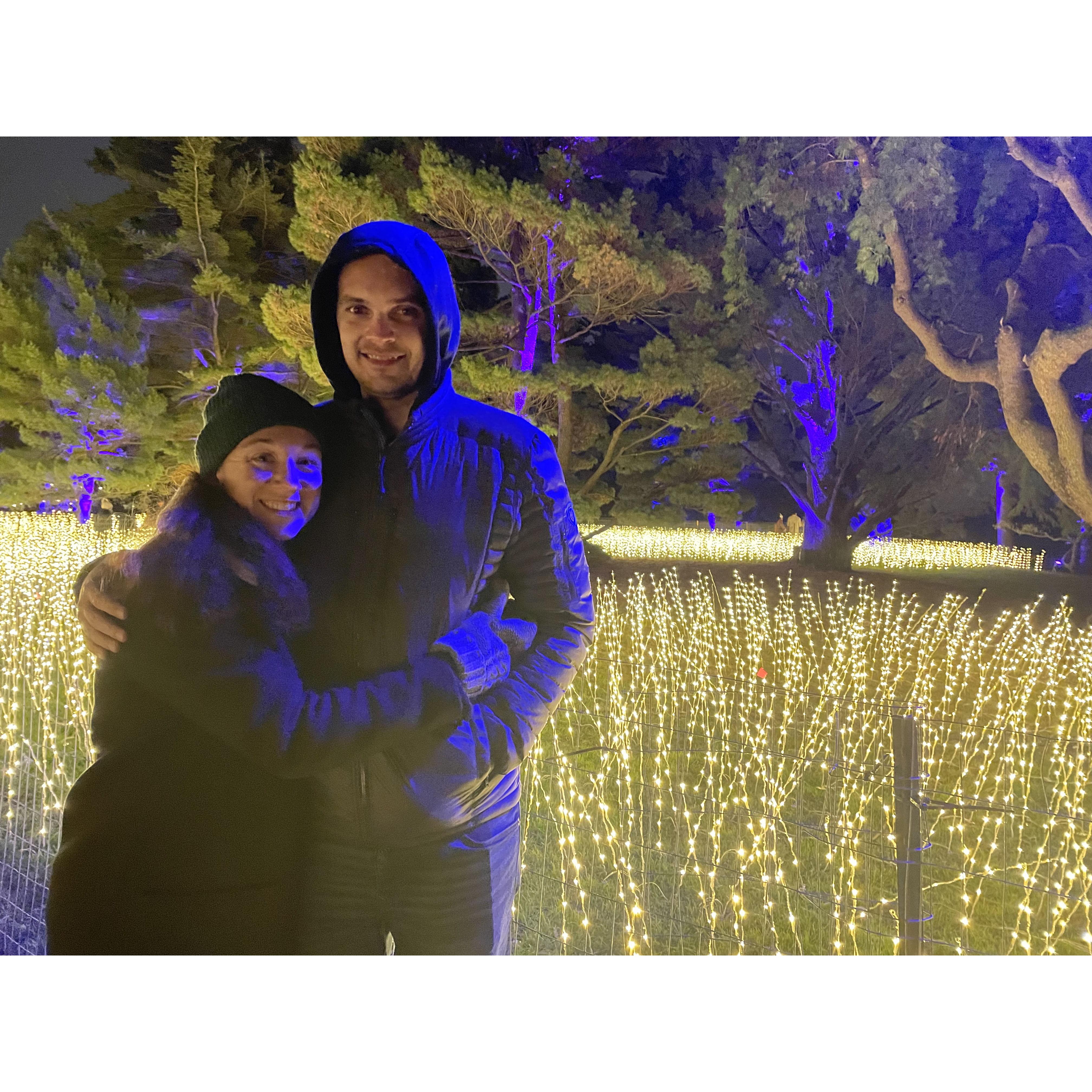 Morton Arboretum Illumination Lights