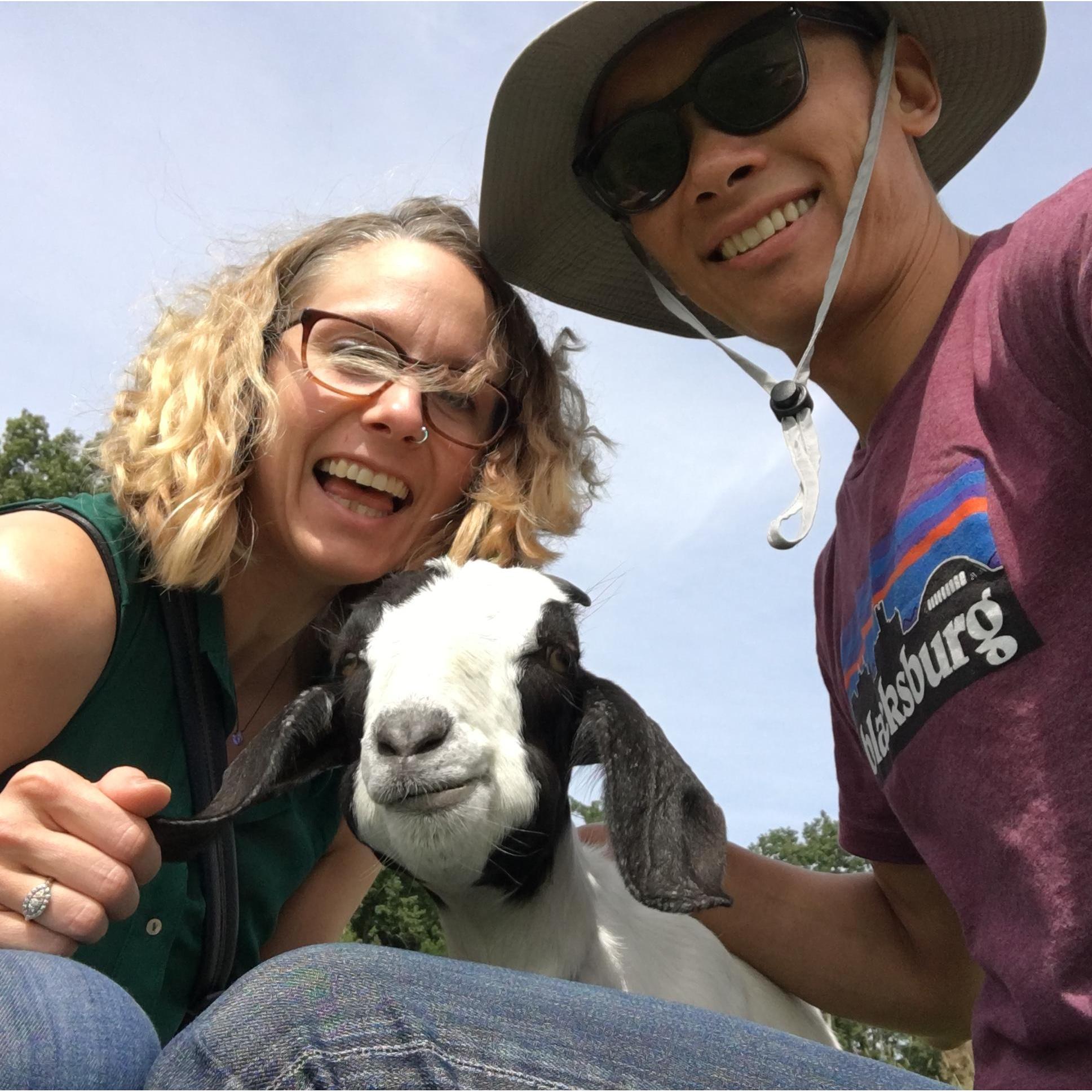 More Goats!