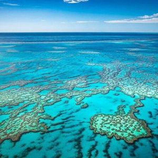Snorkeling at the Great Barrier Reef