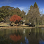 Freedom Park