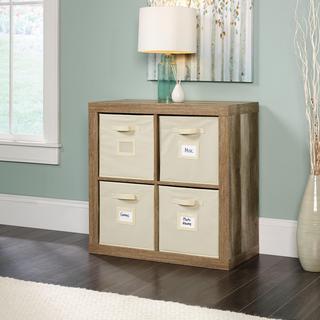 Stowaway 4-Cube Organizer