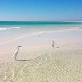 Siesta Key Beach