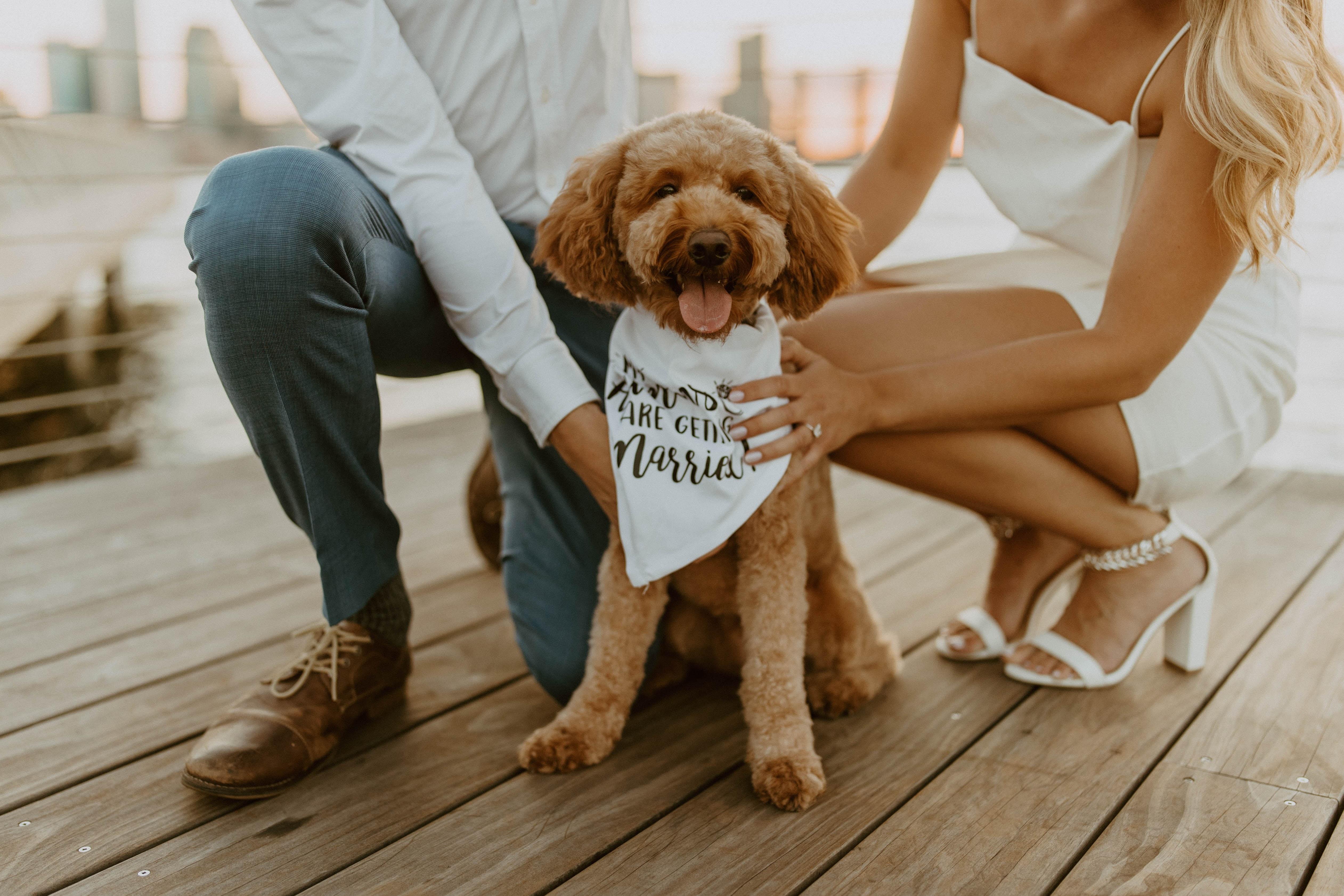 The Wedding Website of Meredith Zoltan and Zach Brewster