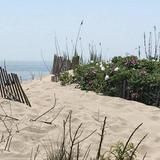 Beaches