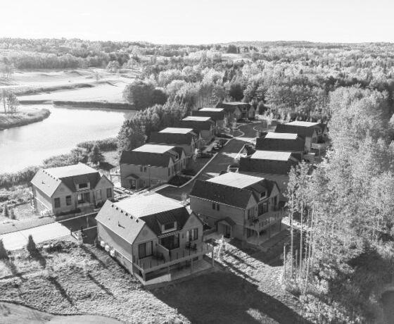 The Wedding Website of Joseph Blandisi and Riley Scott
