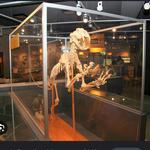 Museum of Life and Science