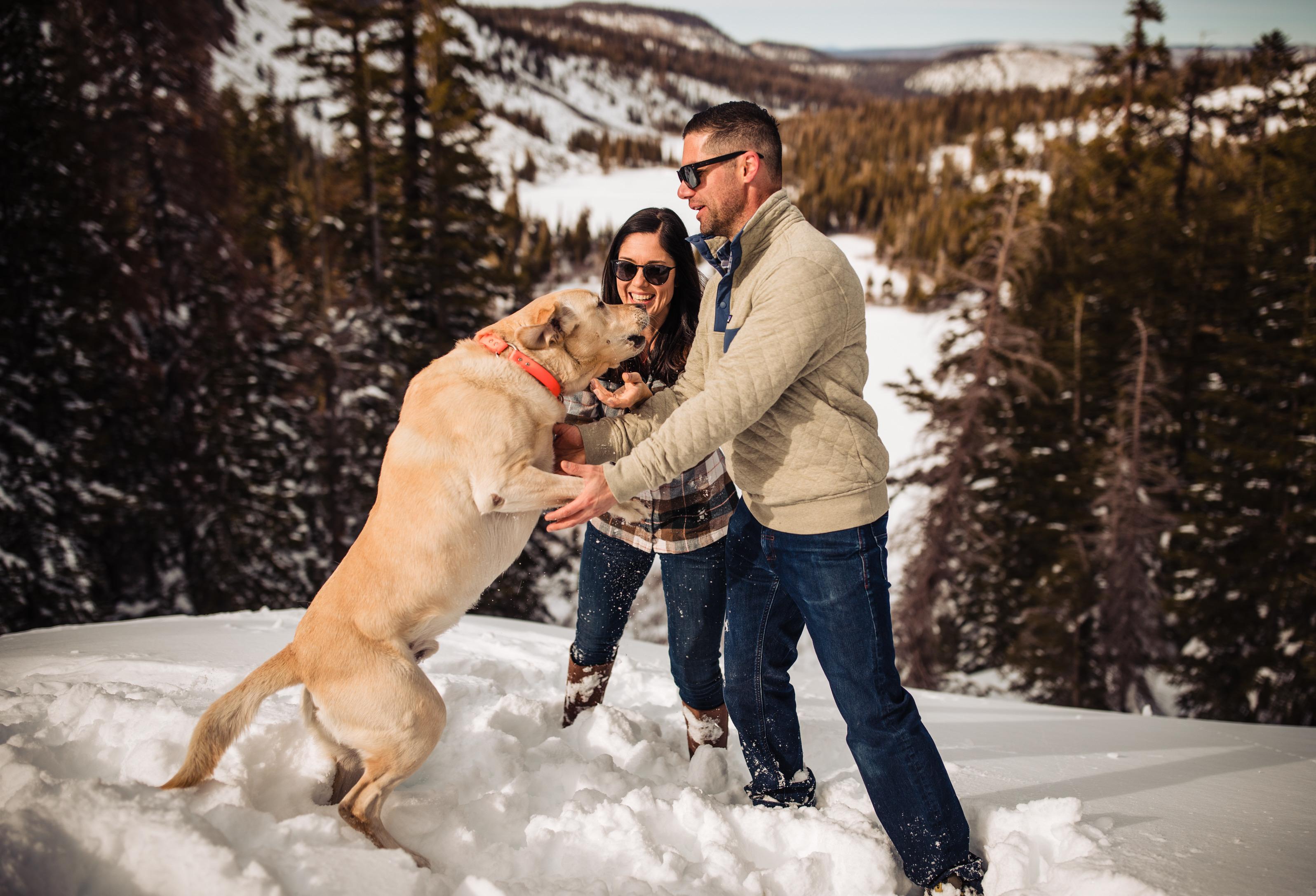 The Wedding Website of Amy Raymond and Jason Tarasi