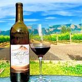 Wine Tasting