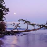 Explore Washington Park