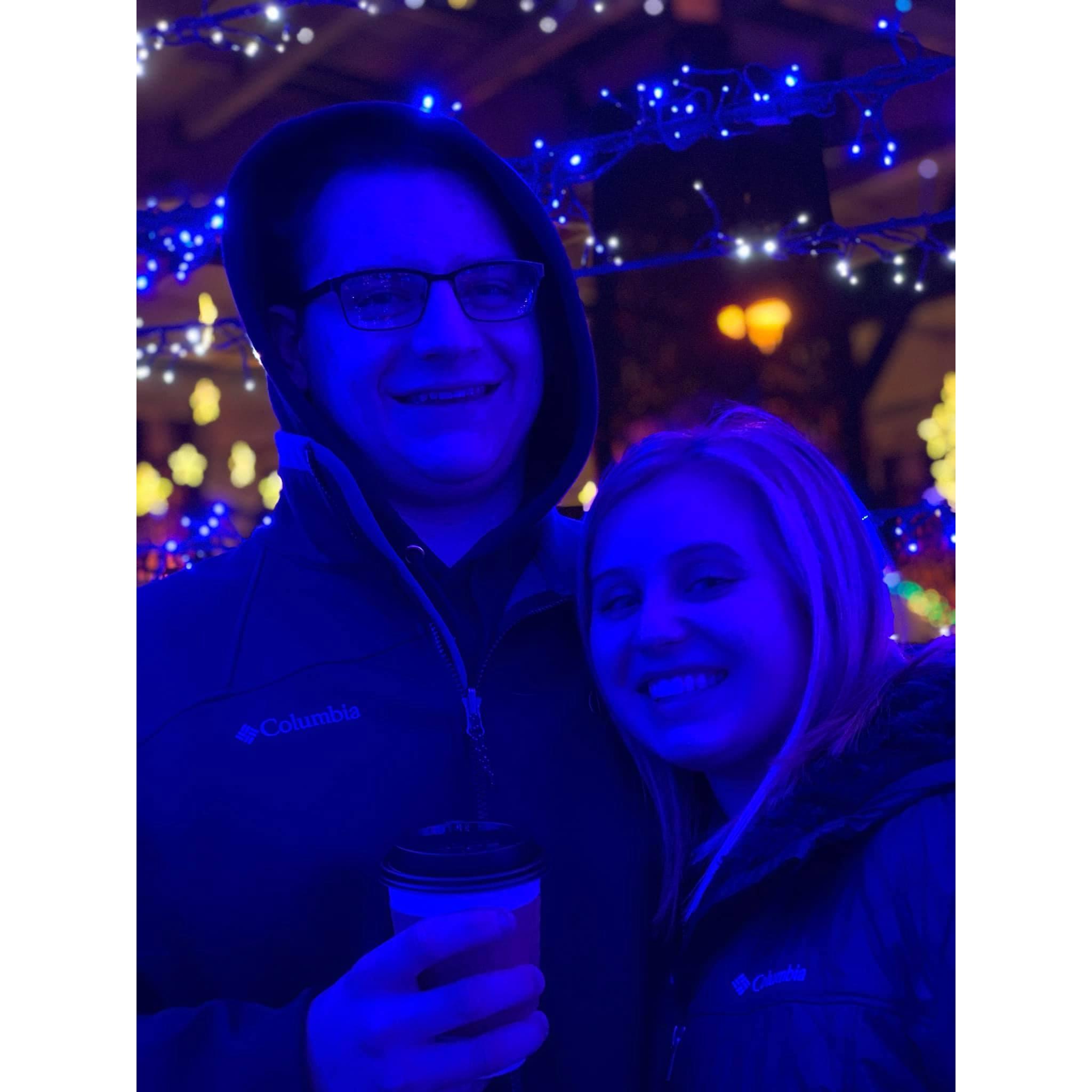 Christmas lights at the Indy Zoo.