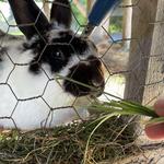 Washington Island Farm Museum