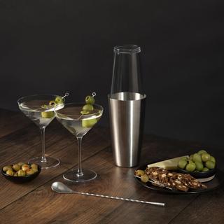 Signature 8-Piece Martini Set