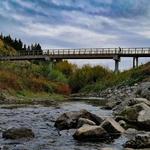Urban Eels Sanctuary He Ara Kotahi Pathway