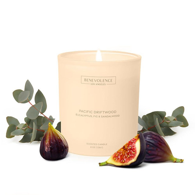 Benevolence LA Scented Candle | Eucalyptus, Fig & Sandalwood Candles for Home Scented | 8oz, 45-Hour Burn | Natural Wax, Cotton Wick | Malibu Sands Collection