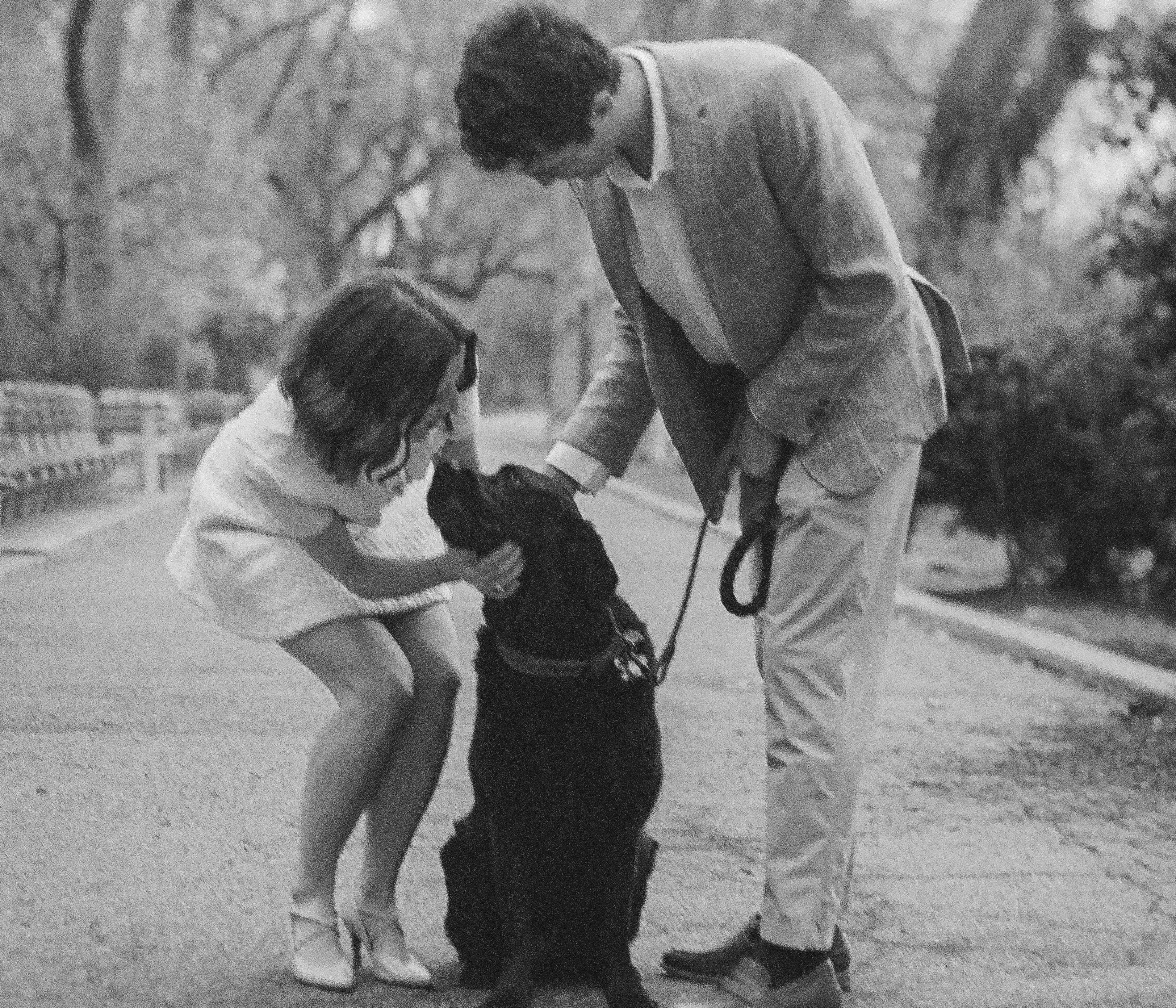 17d2f90a-5a65-436e-b477-09cacee985f5