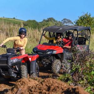 Excursion on the Honeymoon