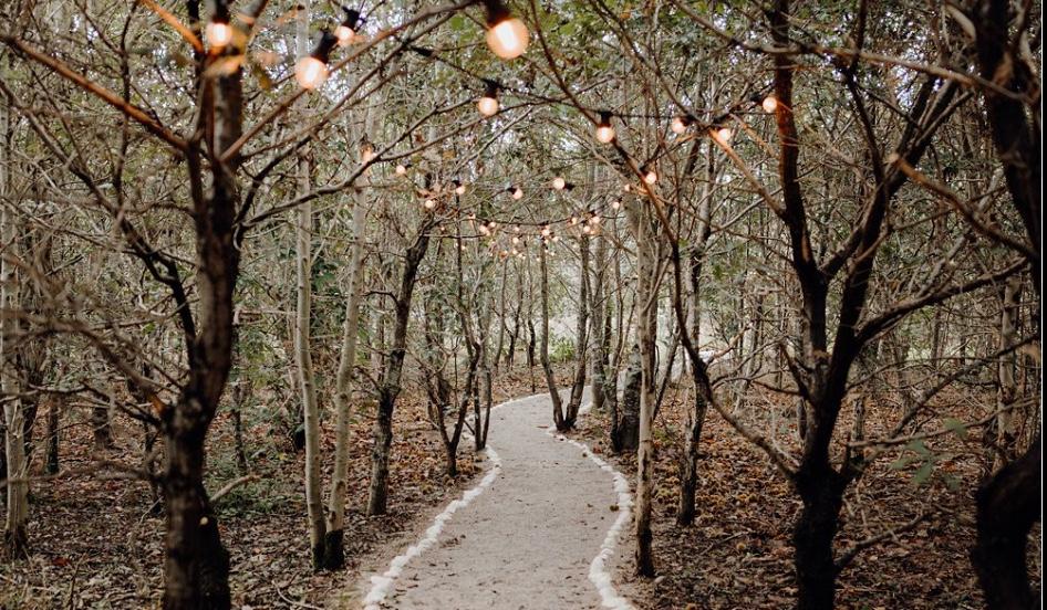 The Wedding Website of Jessie Vasquez and Phillip Miramontes