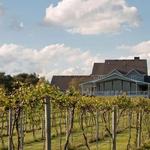 Mackinaw Valley Vineyard