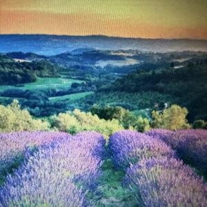 Our newlywed fund & travels