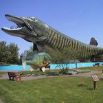 Freshwater Fishing Hall of Fame