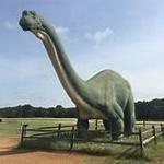 Dinosaur Valley State Park