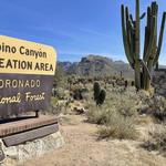 Sabino Canyon Recreation Area