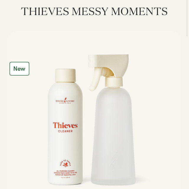 Thieves Messy Mom
