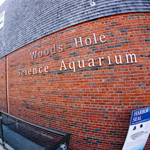 Woods Hole Science Aquarium