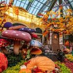 Bellagio Conservatory & Botanical Gardens