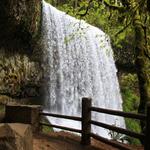 Silver Falls State Park