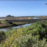 Hiking and Walking Trails