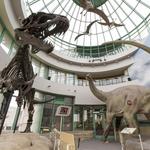North Carolina Museum of Natural Sciences