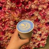 Gelateria & Espresso Bar