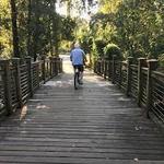 Bike Rentals